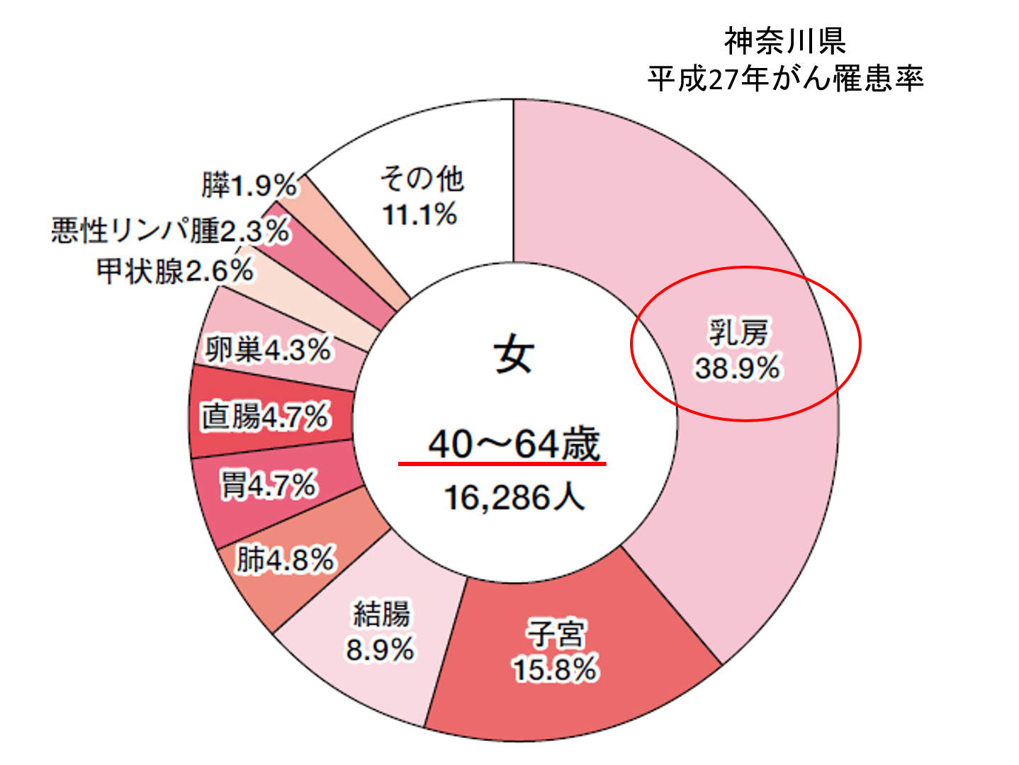 杉野遥亮ファンミーティング